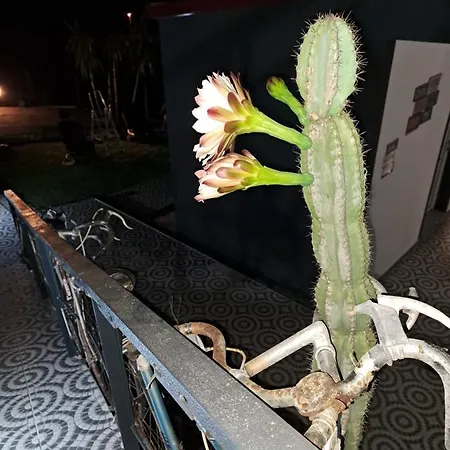 Bicycle House Felgueiras