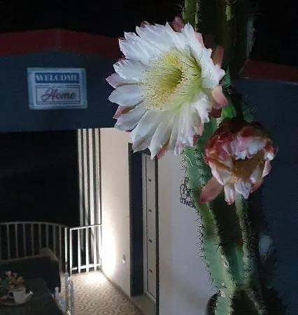 Gospodarstwo agroturystyczne Bicycle House