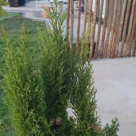 Gospodarstwo agroturystyczne Bicycle House *