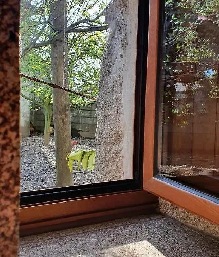 Çiftlik konaklama Bicycle House Felgueiras