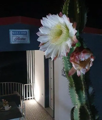 Feriegård Bicycle House