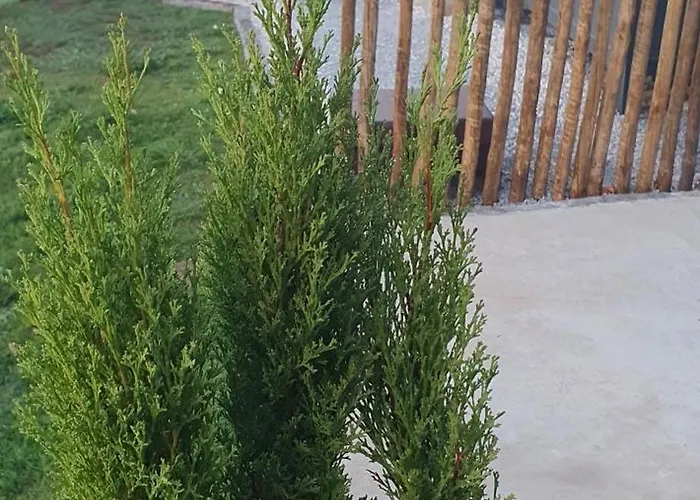 Feriegård Bicycle House *